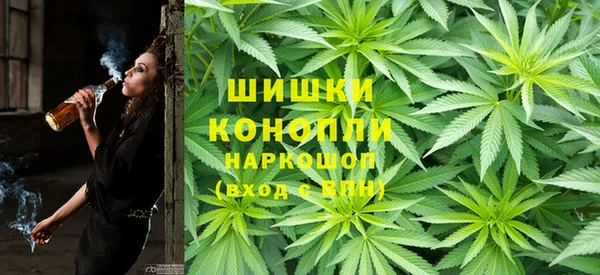 хмурый Инта