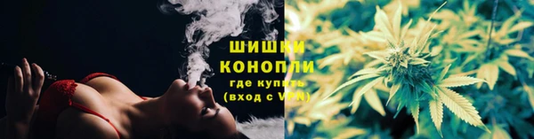 хмурый Инта