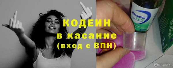 шишки Иннополис