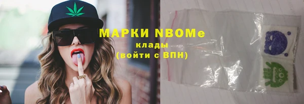 хмурый Инта