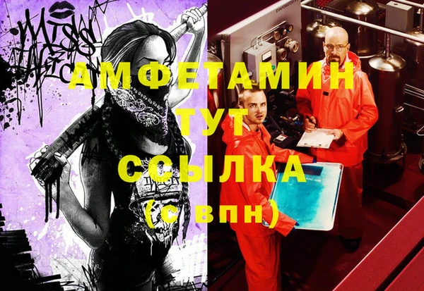 шишки Иннополис