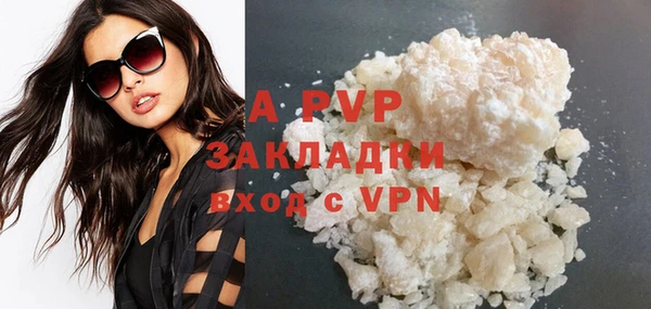 шишки Иннополис