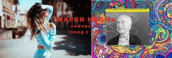 ECSTASY Инсар