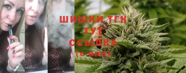 шишки Иннополис