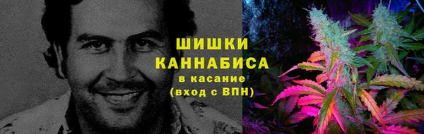 ECSTASY Инсар