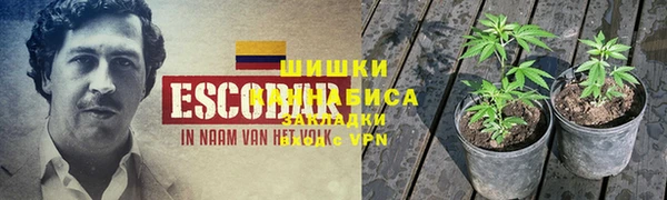 ECSTASY Инсар