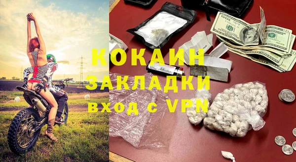 хмурый Инта