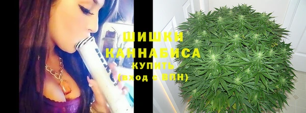 шишки Иннополис