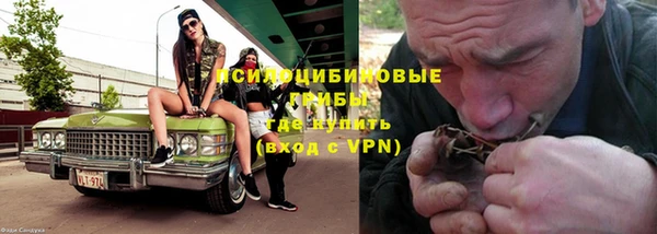 шишки Иннополис