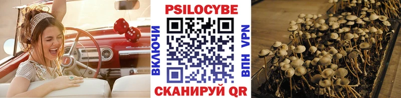 Купить закладки  Красноармейск  Галлюциногенные грибы Psilocybe 